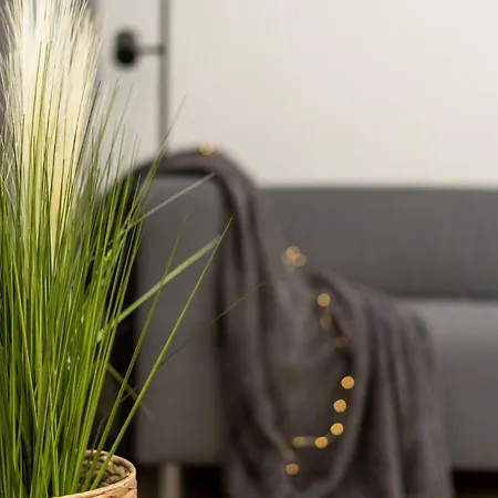 Air 213 Apartament